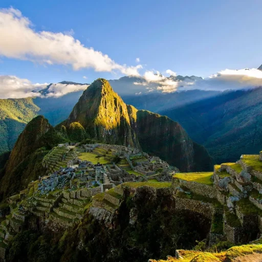 Mapi